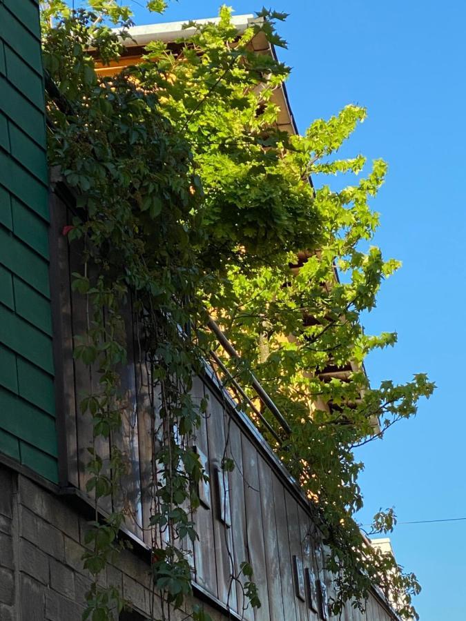 Hotel Zillners Einkehr *** Altheim Экстерьер фото